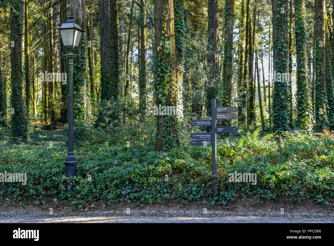 Sintra, Portugal - Sept 23, 2018: Wege mit Wegweiser durch den verwunschenen Park eine der Palast von Pena in Sintra, Portugal Stockfoto