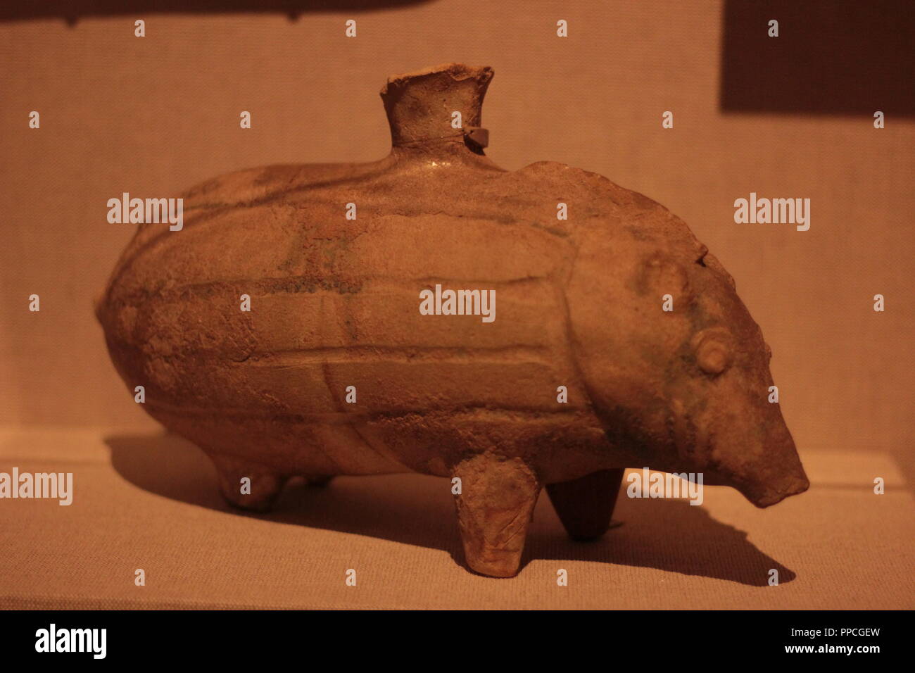 Ein Wildschwein Schiff Stockfoto