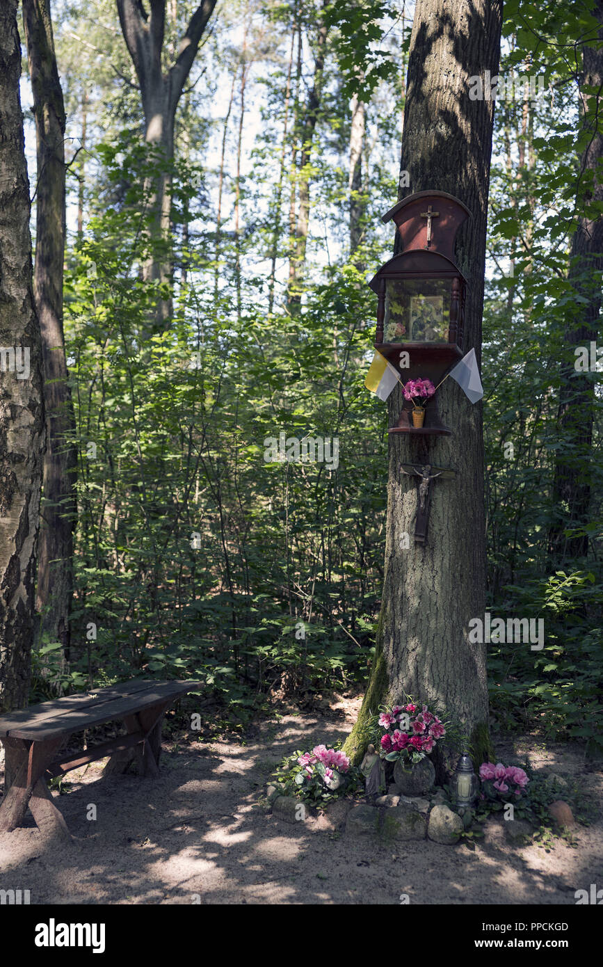 Kleine Kapelle auf einem Baum in einem Wald in der Nähe von Ostrzeszów, Polen ausgesetzt. Ein Zeichen der Frömmigkeit der lokalen Bevölkerung. Stockfoto