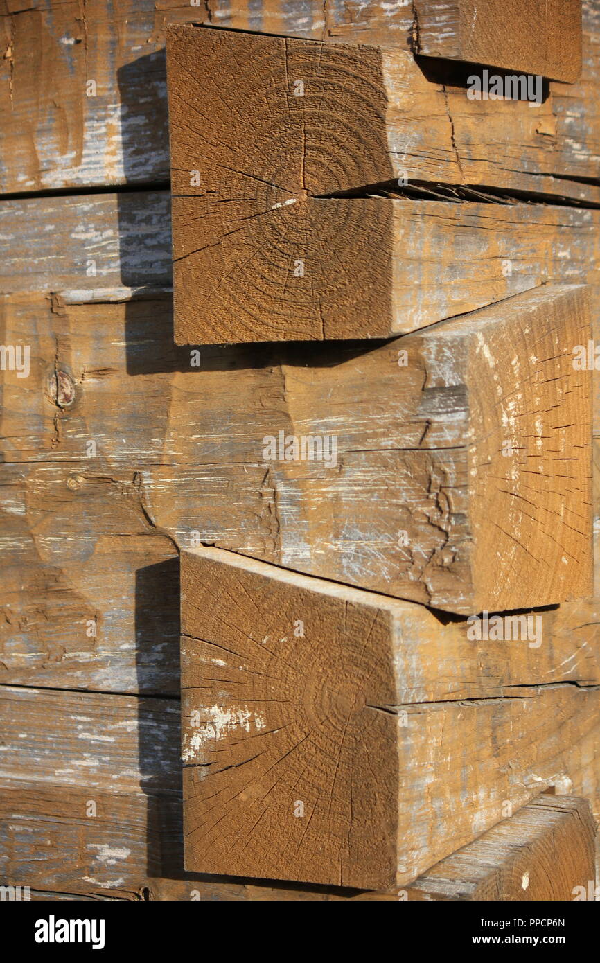 Schönes Beispiel für alte Bautechniken und Schwalbenschwanzverbindungen der Carving Massivholz Protokolle in rechteckige Bau Elemente einer traditionellen Log Cabin zu erstellen. Stockfoto