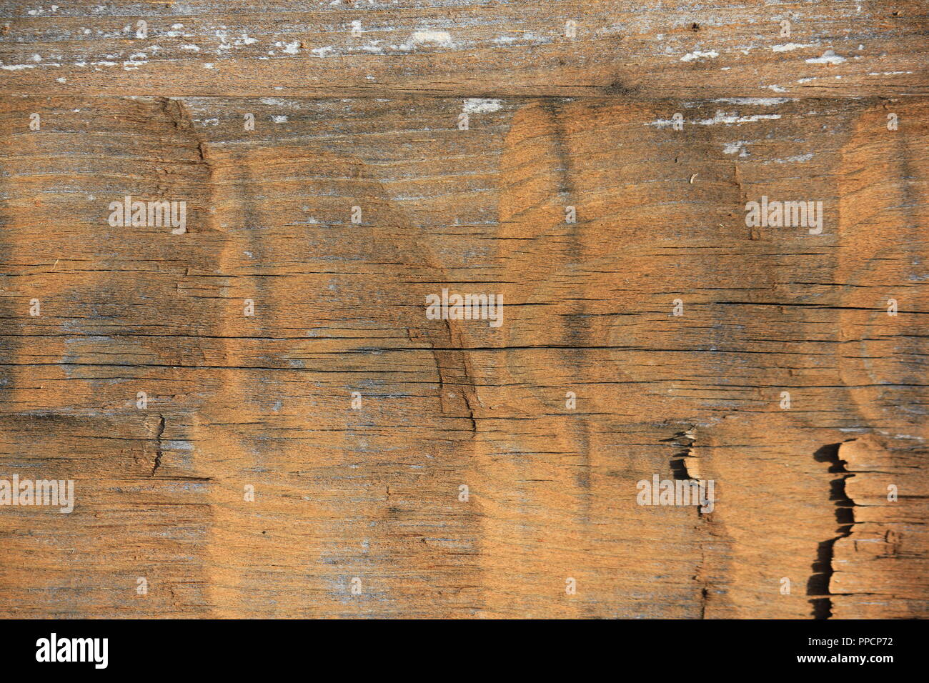 Schönes Beispiel für alte Bautechniken der Carving Massivholz Protokolle in rechteckige Bau Elemente einer traditionellen Log Cabin zu erstellen. Stockfoto