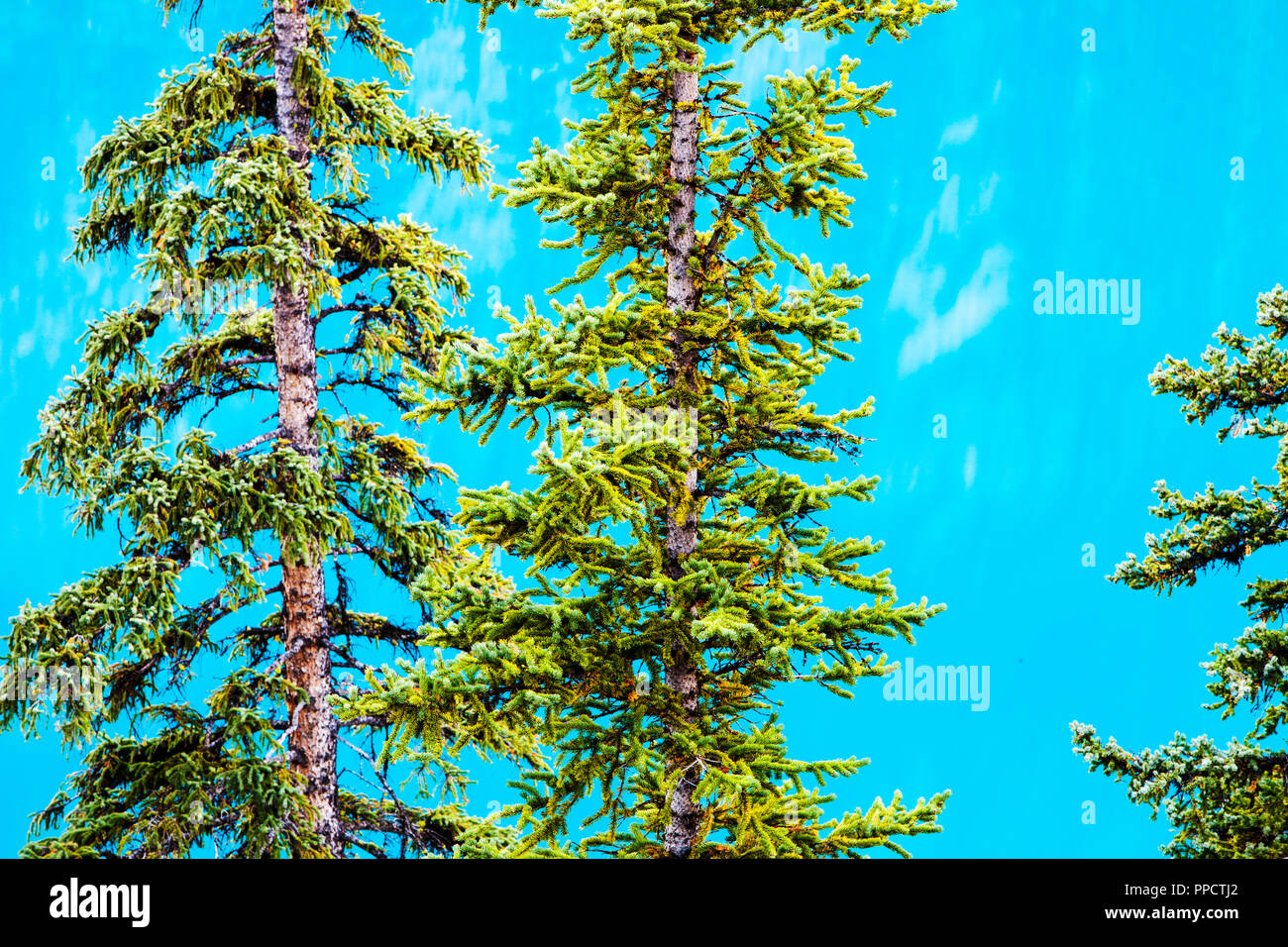 Moraine Lake in den kanadischen Rockies ist eines der malerischsten, schöne Orte in der gesamten der Rocky Mountains. Die Farbe Grün/Blau des Wassers verursacht durch Gesteinsmehl, von Gletschern, die andere Farbe Wellenlängen reflektiert. Stockfoto