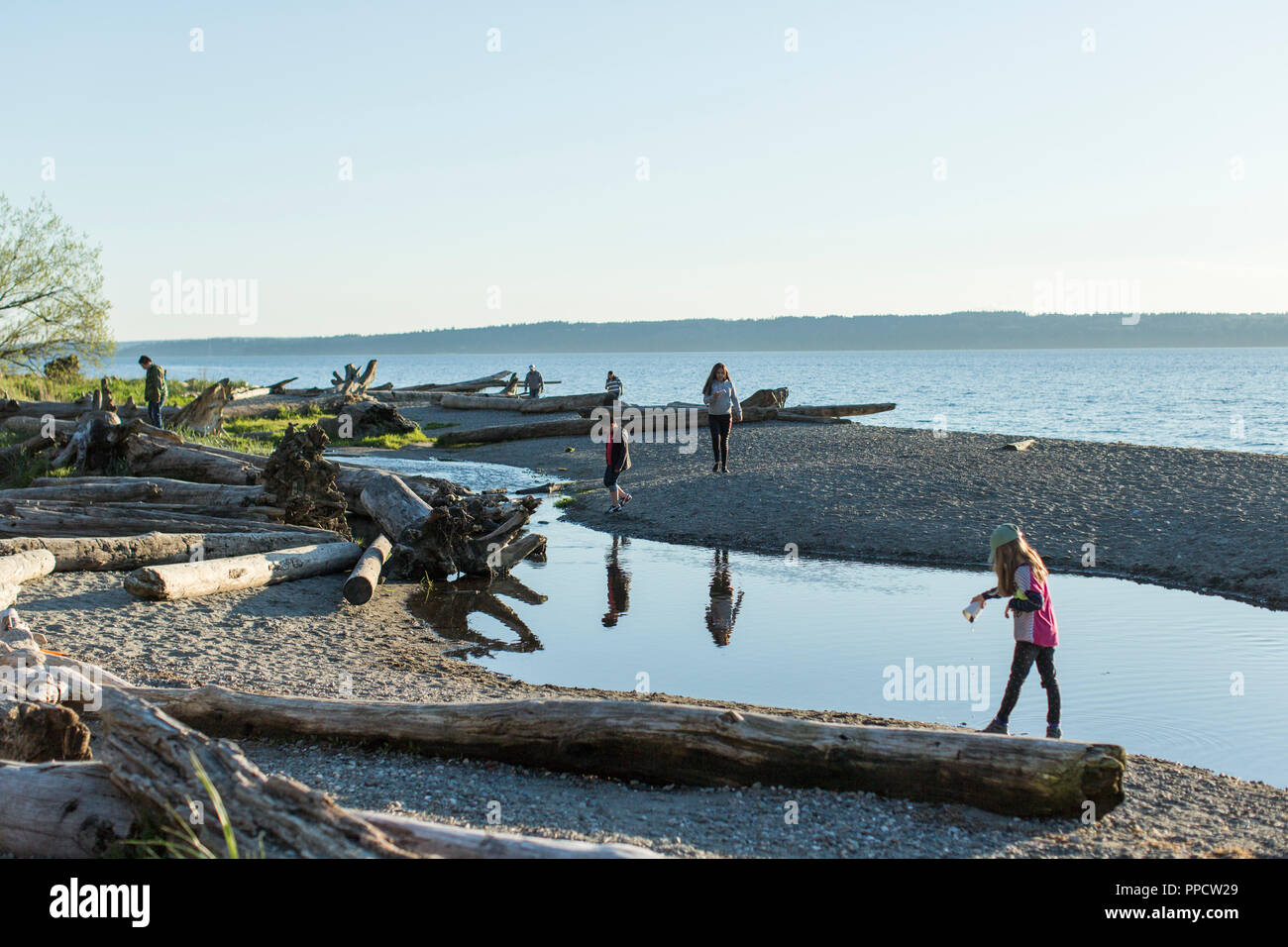 Klare Himmel über Menschen zu Fuß auf den Strand mit Treibholz, Seattle, Washington, USA Stockfoto