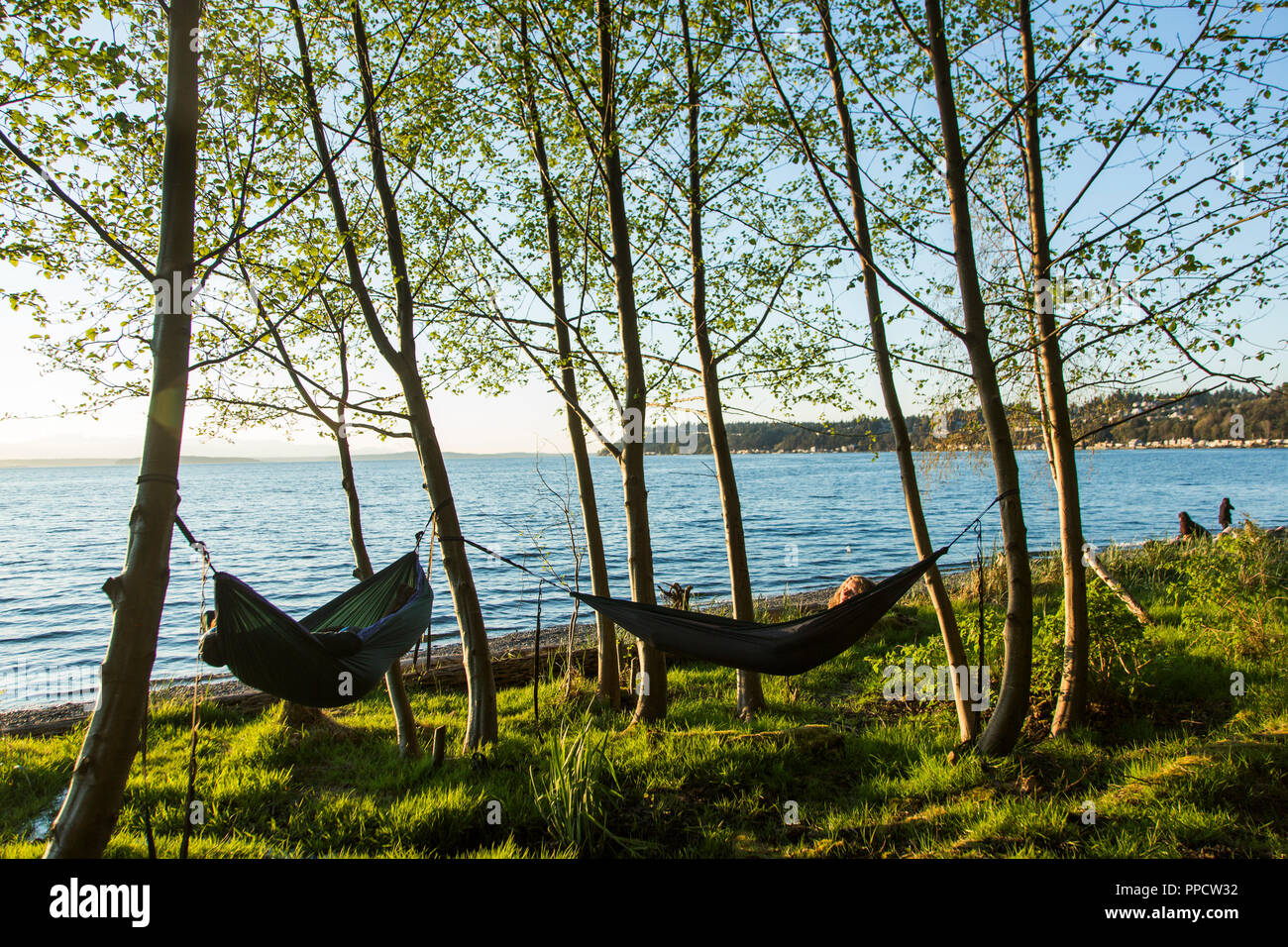 Zwei Frauen entspannen Sie in einer der Hängematten auf Küste, Seattle, Washington, USA Stockfoto
