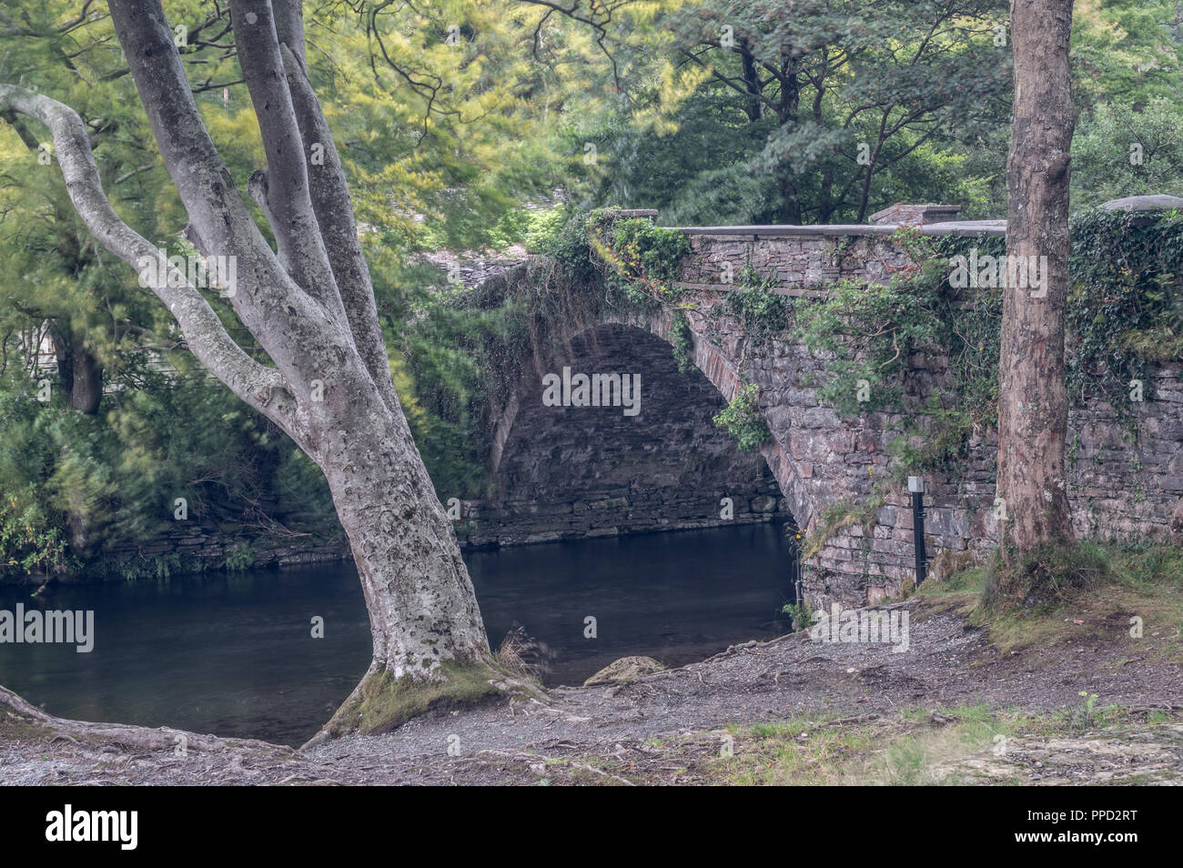 Die Afon Ogwen durch den Snowdonia National Park fließen. Stockfoto