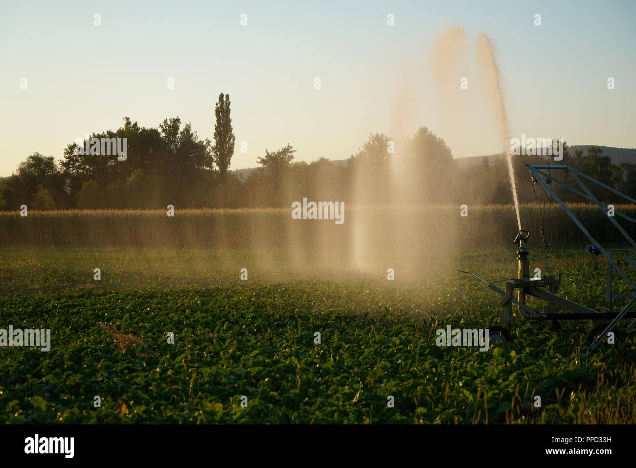 Lang Anhaltende Durre In Deutschland Aufgrund Von Regen In Der Landwirtschaft Eine Kunstliche Bewasserung Stockfotografie Alamy