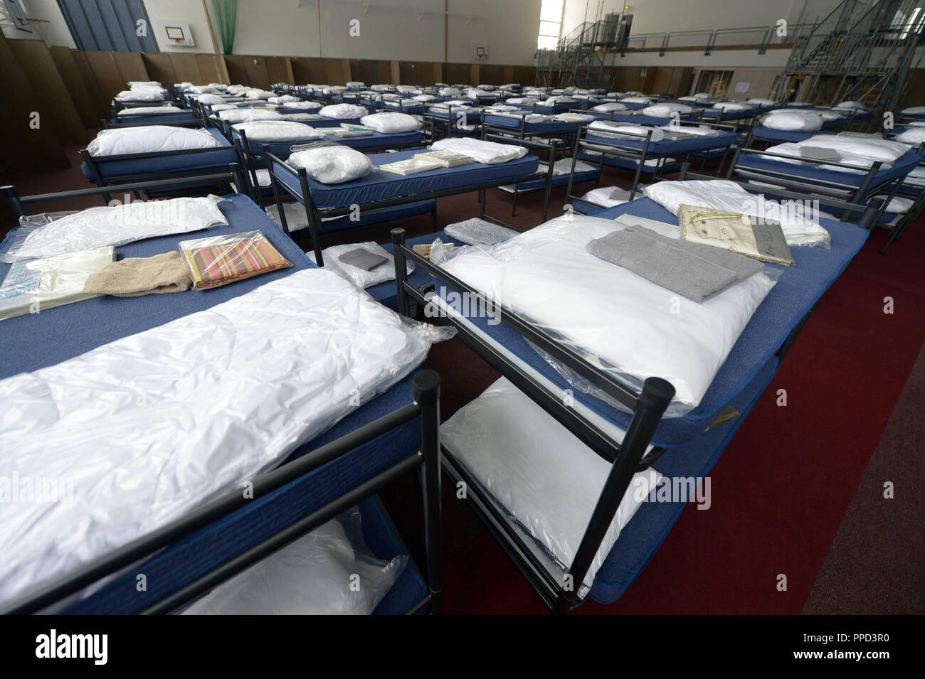 Etagenbetten in einer Turnhalle in Taufkirchen, die in eine Notunterkunft  für Flüchtlinge umgewandelt wurde Stockfotografie - Alamy