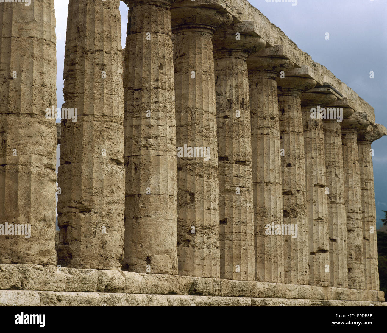 Paestum. Tempel der Athene. 6. Jahrhundert vor Christus. Spalten. Italien. Stockfoto