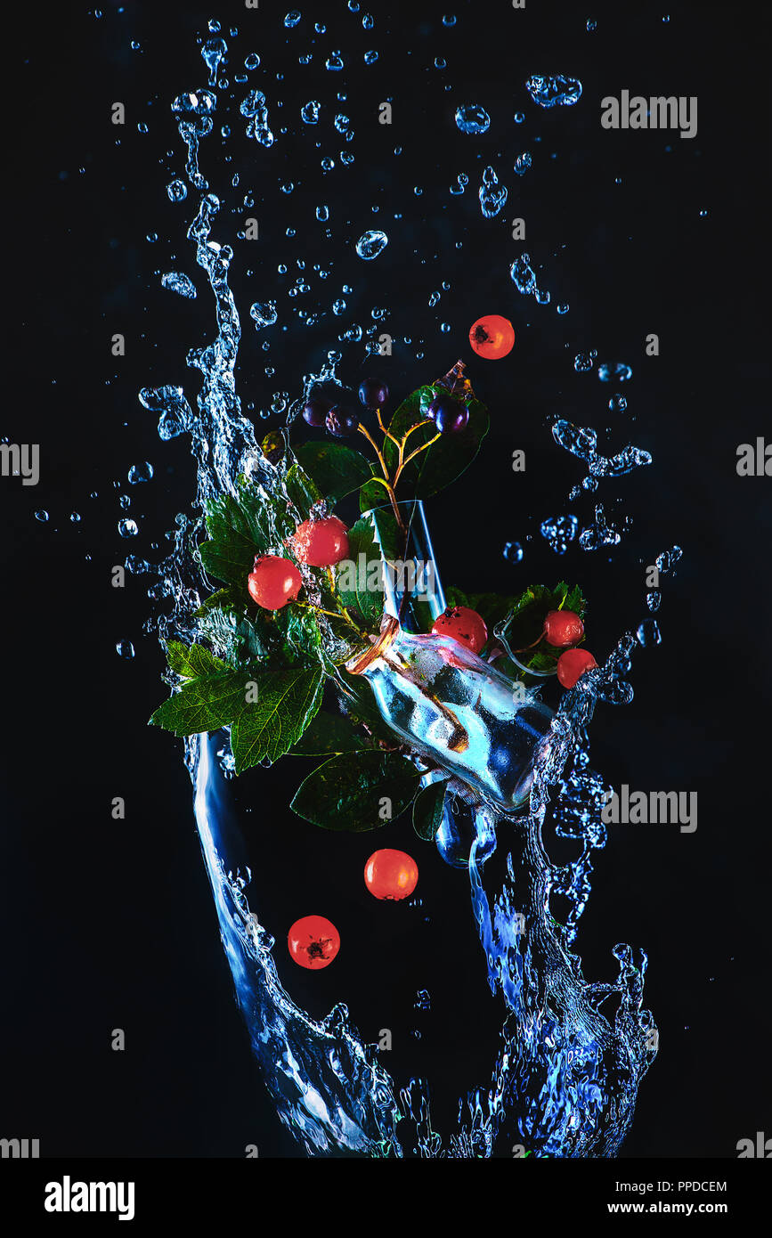 Grüne Blätter und roten Beeren in Glasflaschen in Wasser auf einem dunklen Hintergrund. Die High-speed-Feder-Konzept mit Kopie Raum Stockfoto