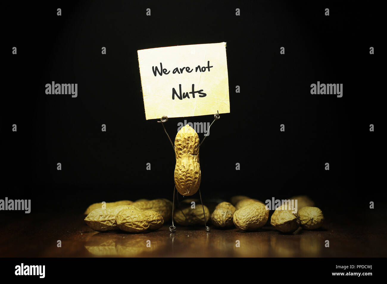 Peanut Holding ein Protest Poster mit erhobenen Händen in der Dunkelheit Stockfoto