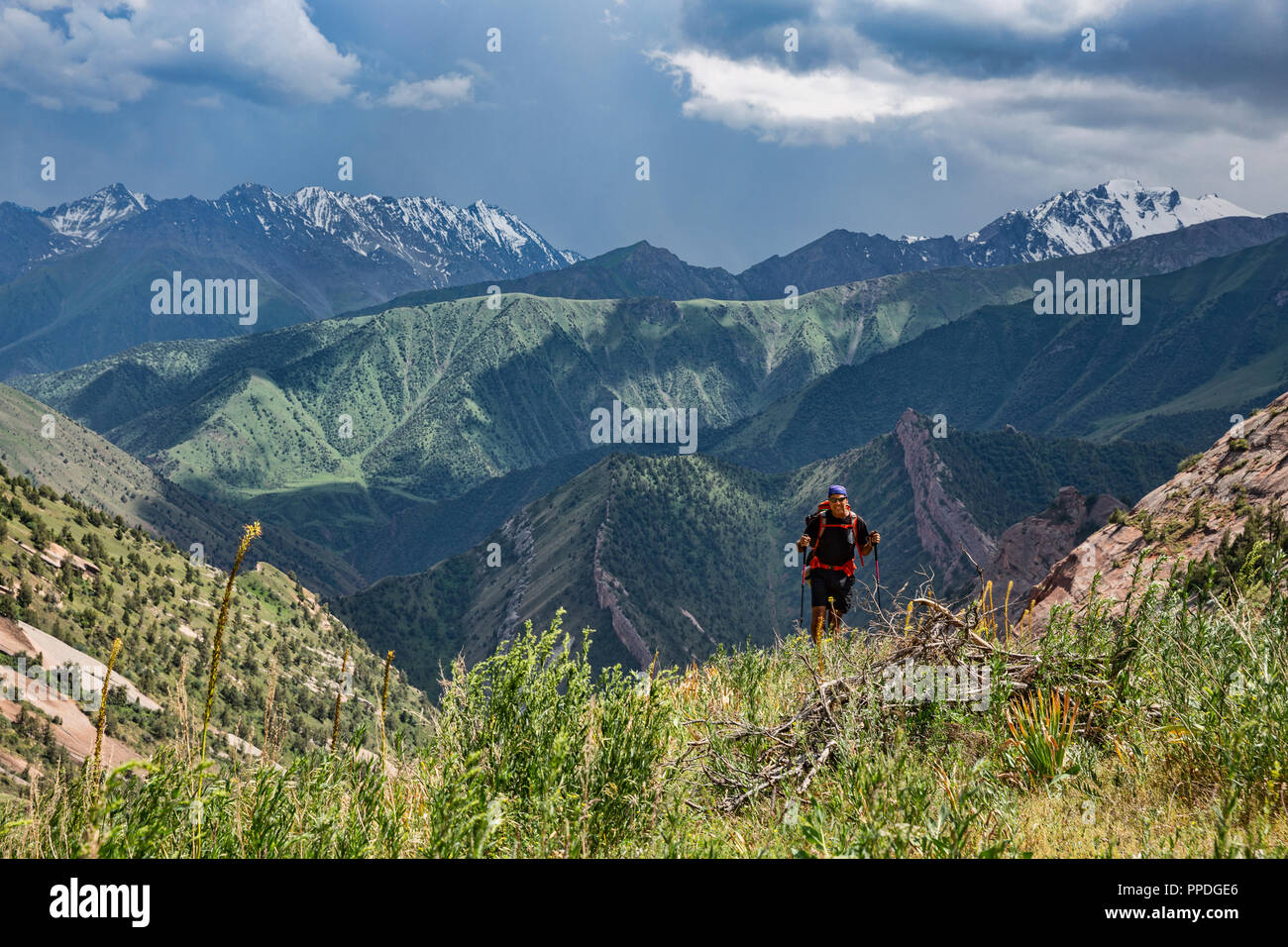 Die unglaubliche Höhen von Alay Trek im Südwesten Kirgisistan, die in 4 3000+ Meter überschreitet. Stockfoto