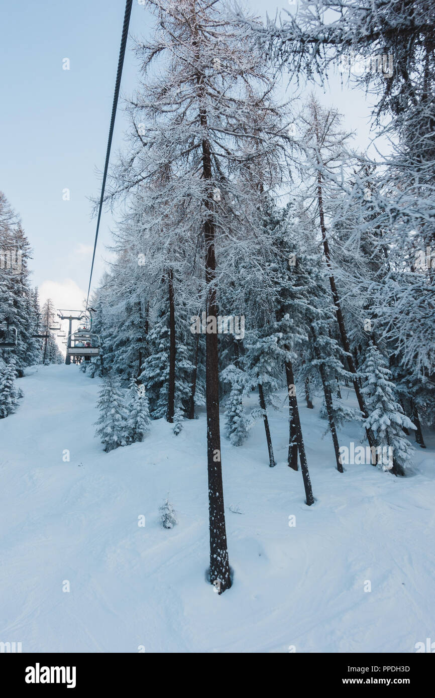 Big Pine Bäume unter Schnee im Bergwald und ein Skilift Kabel und Stuhl Stockfoto