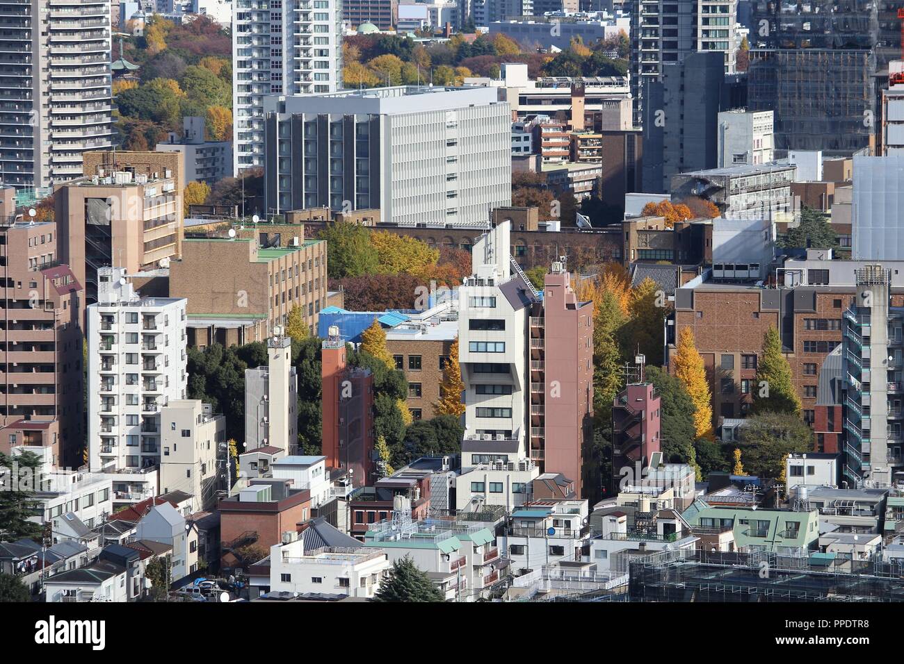 Tokio Stadtbild mit Bunkyo Bezirk. Big city Luftbild. Stockfoto