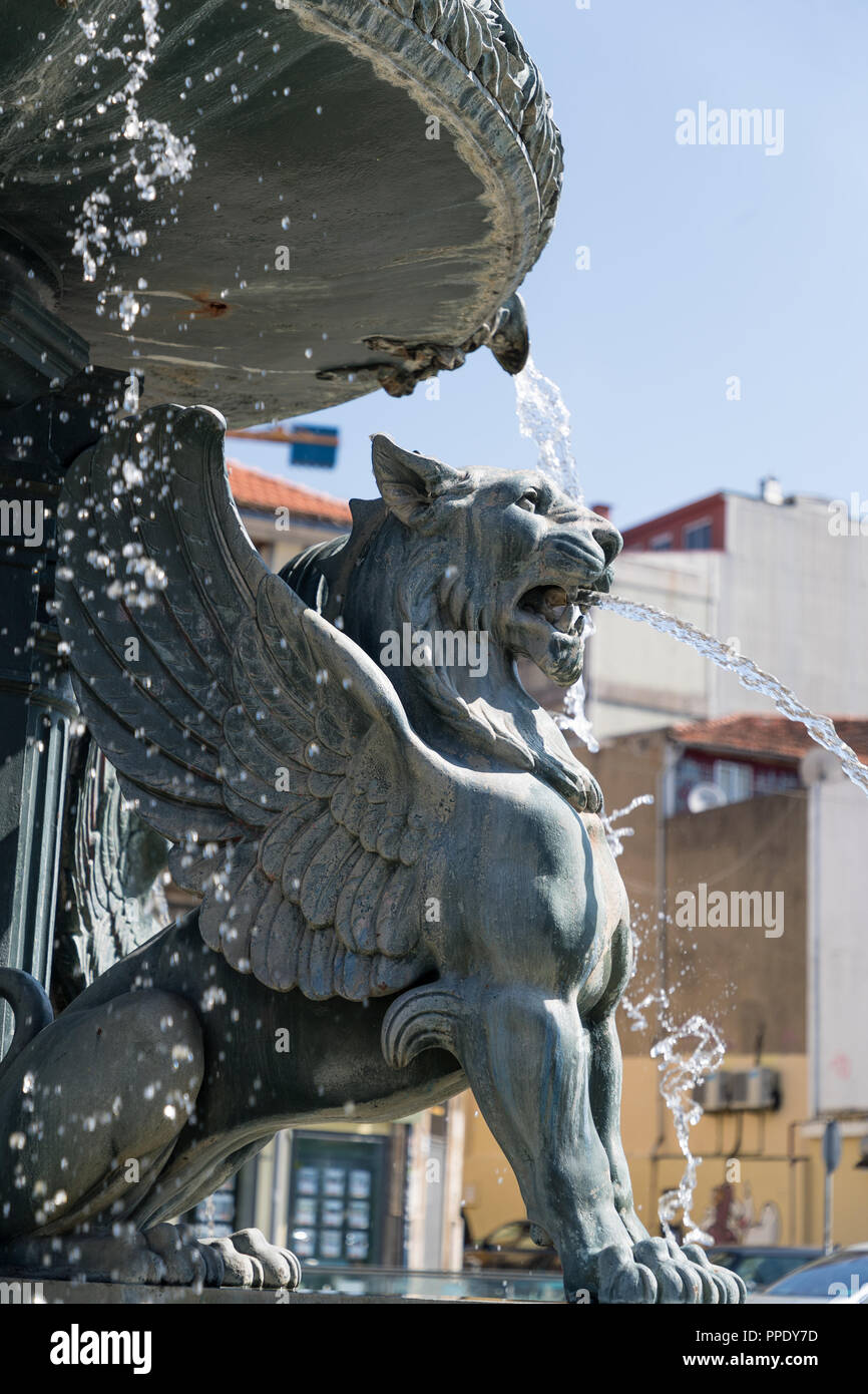 In der Nähe von Brunnen des Löwen auf dem Platz Praça de Gomes Teixeira, Porto, Portugal Stockfoto