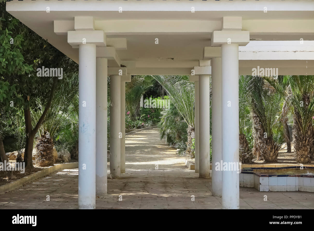 Dirt Road in El Palmeral Park, Alicante, Spanien durch die Spalten der Tempel gesehen Stockfoto