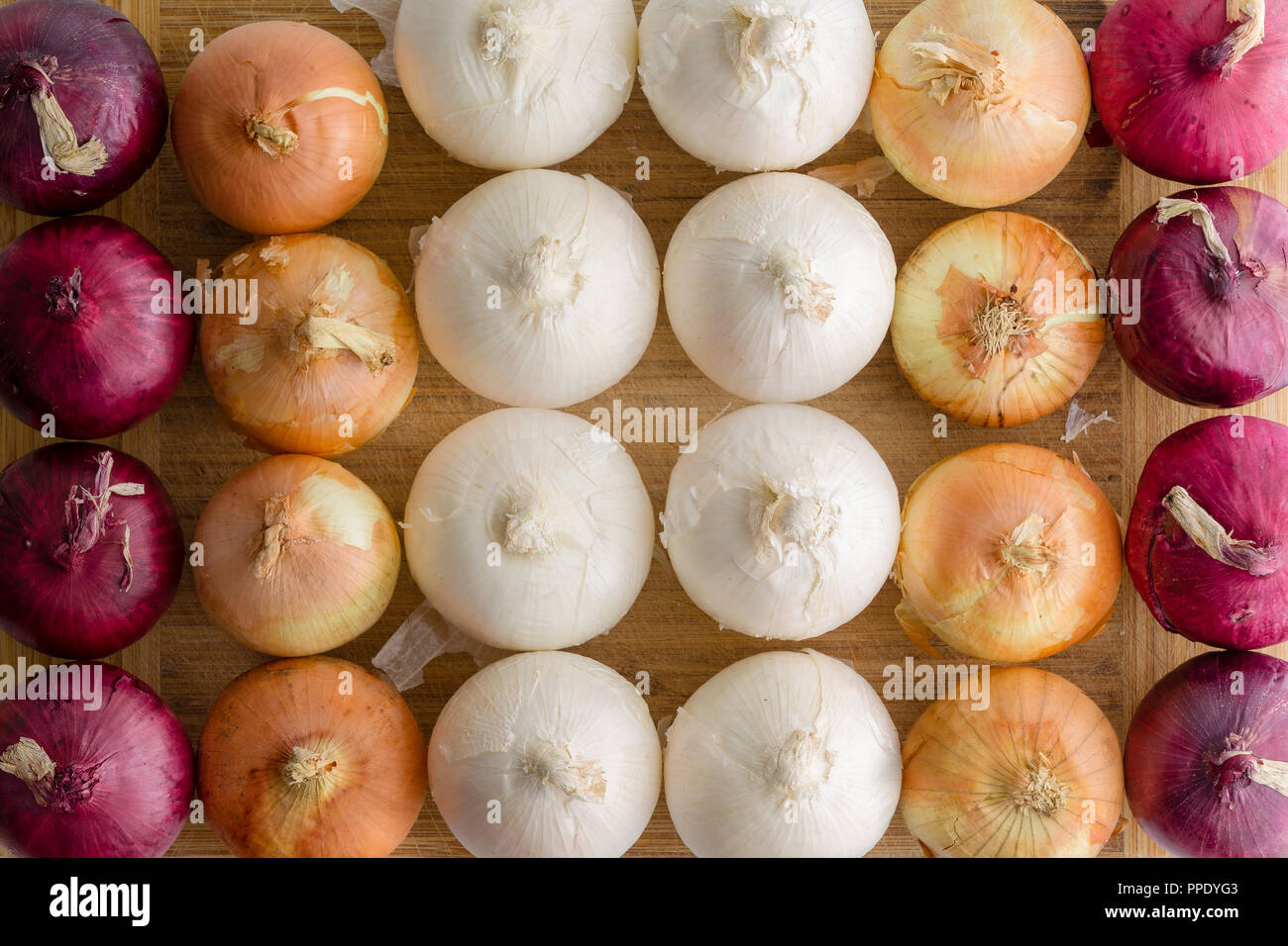 Reihen der roten, weißen und braunen ganze frische Zwiebeln in einem gepflegten Flach still life full frame Hintergrund anzeigen Stockfoto