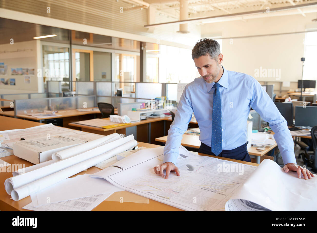 Weiß, männlich Architect bei der Pläne im Großraumbüro suchen Stockfoto