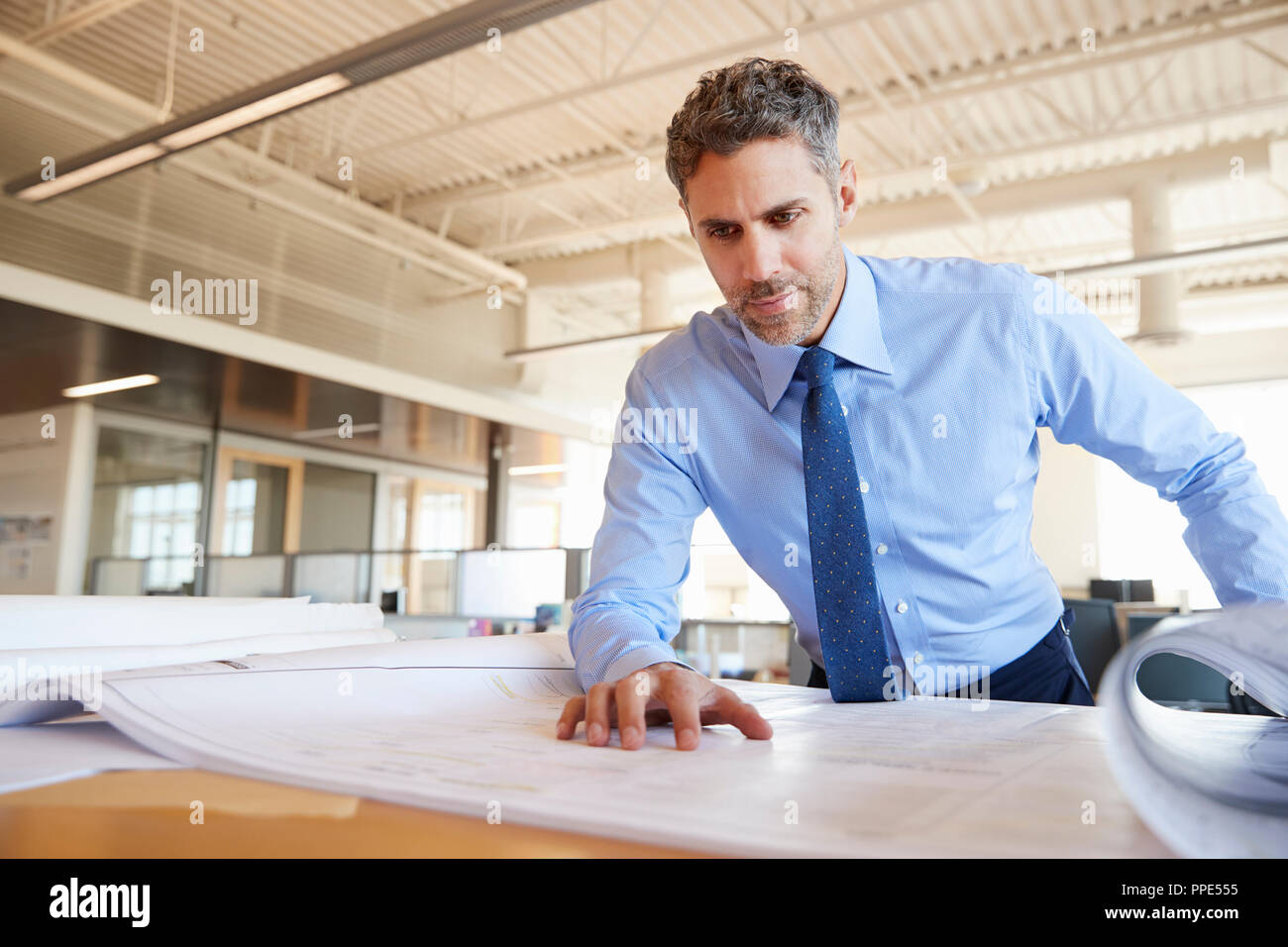 Weiß, männlich Architect bei der Pläne im Büro suchen, Nahaufnahme Stockfoto