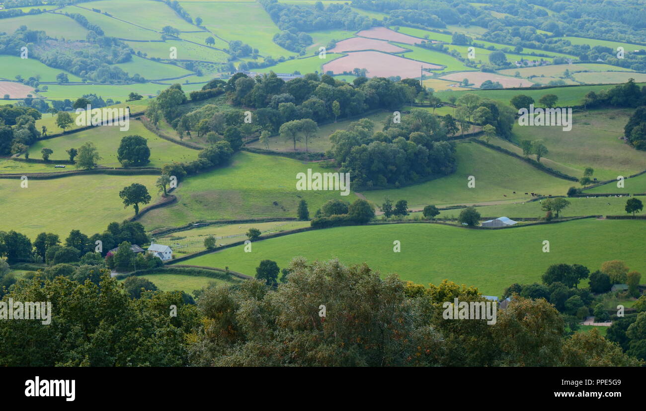 Panoramablick auf das Tal im East Devon Gebiet von außergewöhnlicher natürlicher Schönheit Stockfoto