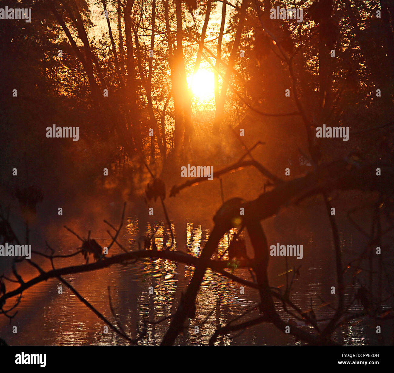 Am frühen Morgen im Herbst an der Amper in Mitterndorf. Stockfoto
