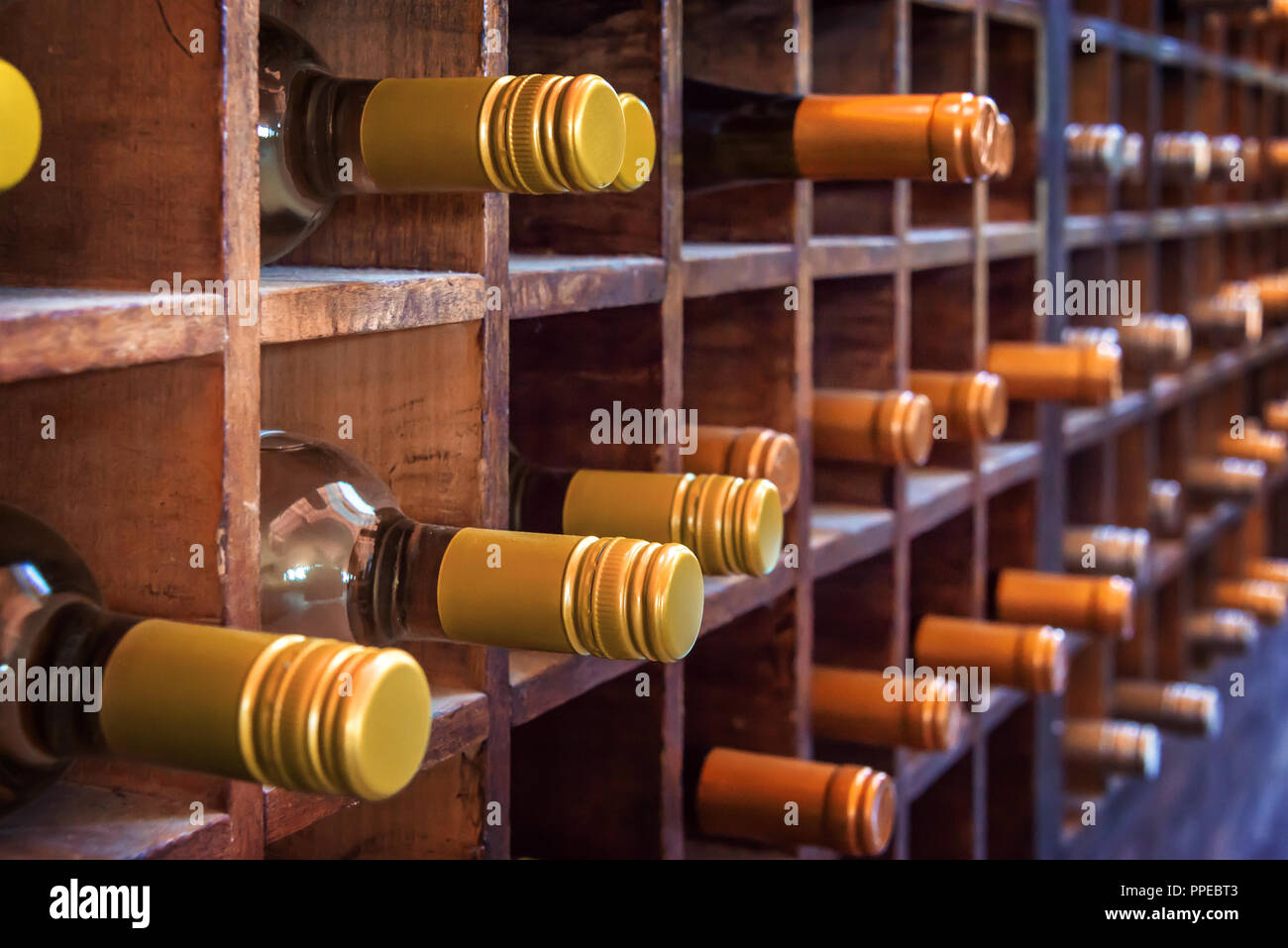 Sammlung von Flaschen Wein auf Holz fällen Stockfoto