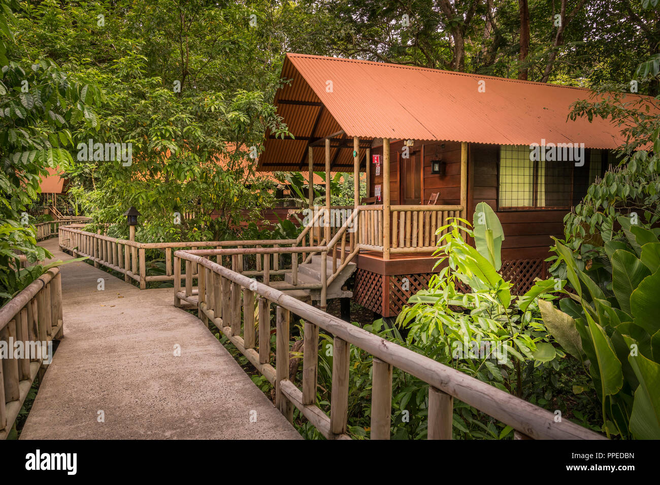 Guesthouse-Tortuguero aninga Evergreen Lodge, Nationalpark, Costa Rica Stockfoto