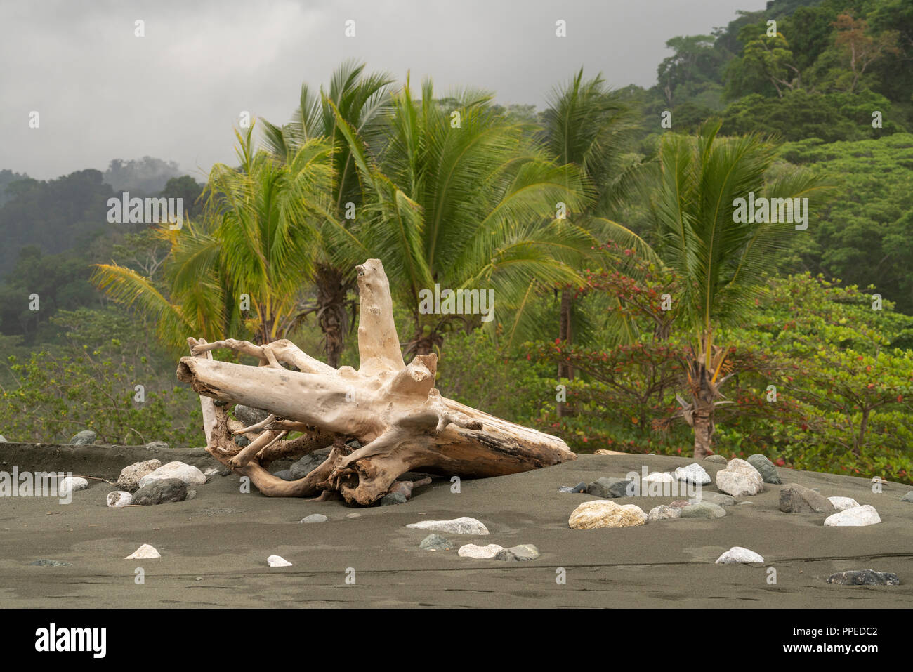 Strandszenen Stockfotos Und Bilder Kaufen Alamy