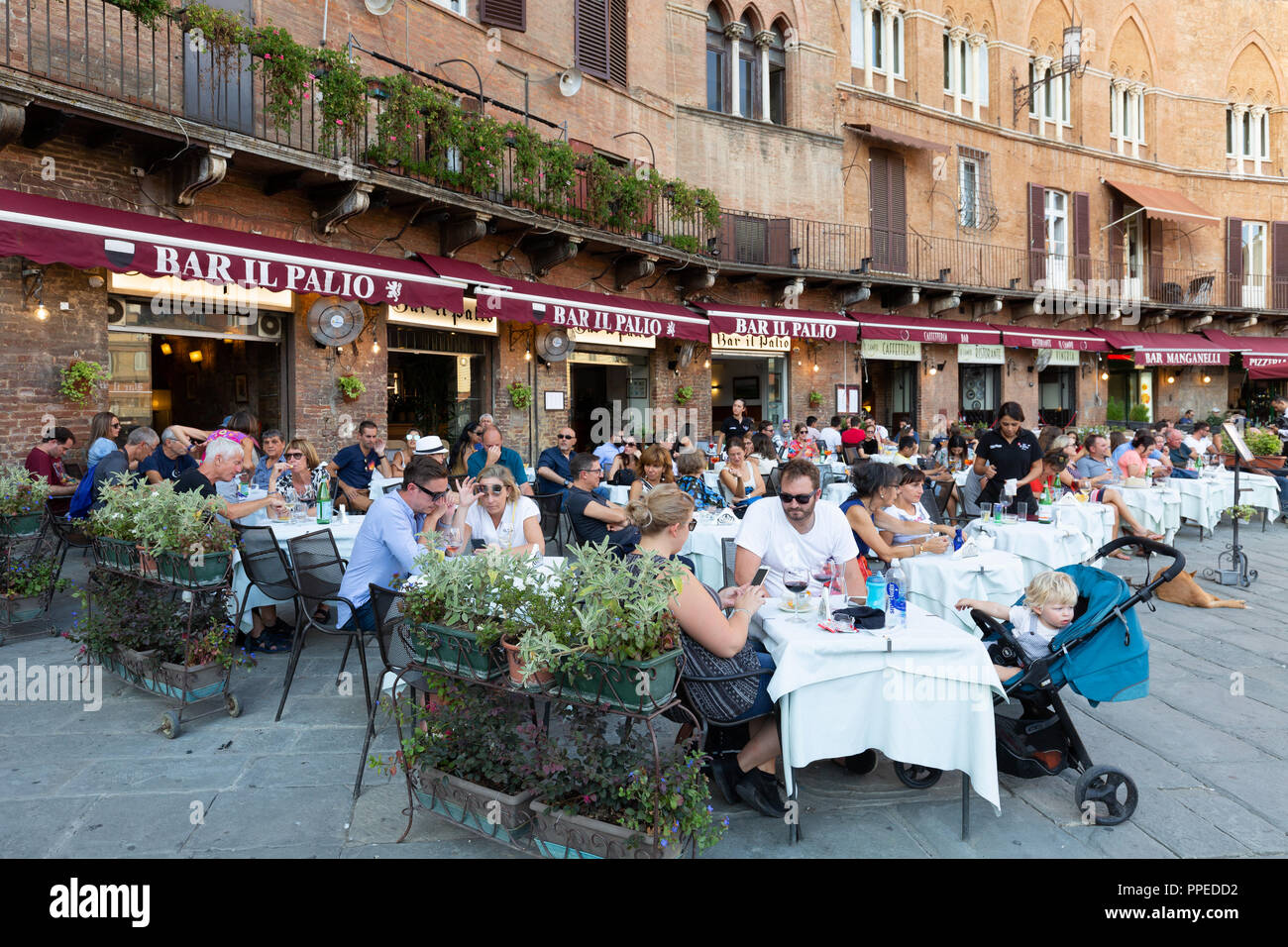 Leute, die draußen im Straßencafe trinken, Bar Il Palio, Piazza del Campo, Siena, Toskana Italien Europa Stockfoto