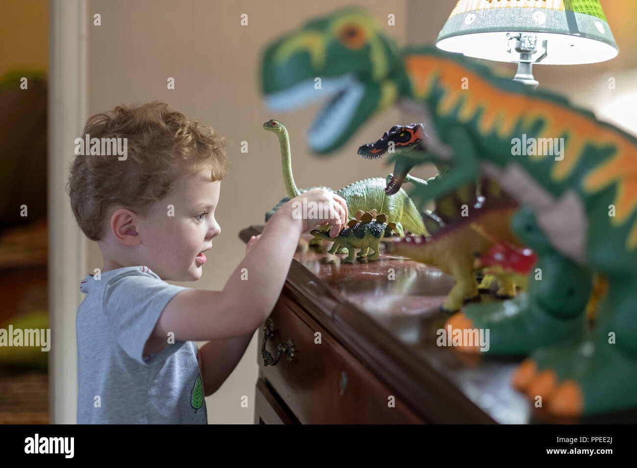 Wheat Ridge, Colorado - Adam Hjermstad, 4, spielt mit seinem Spielzeug Dinosaurier. Stockfoto