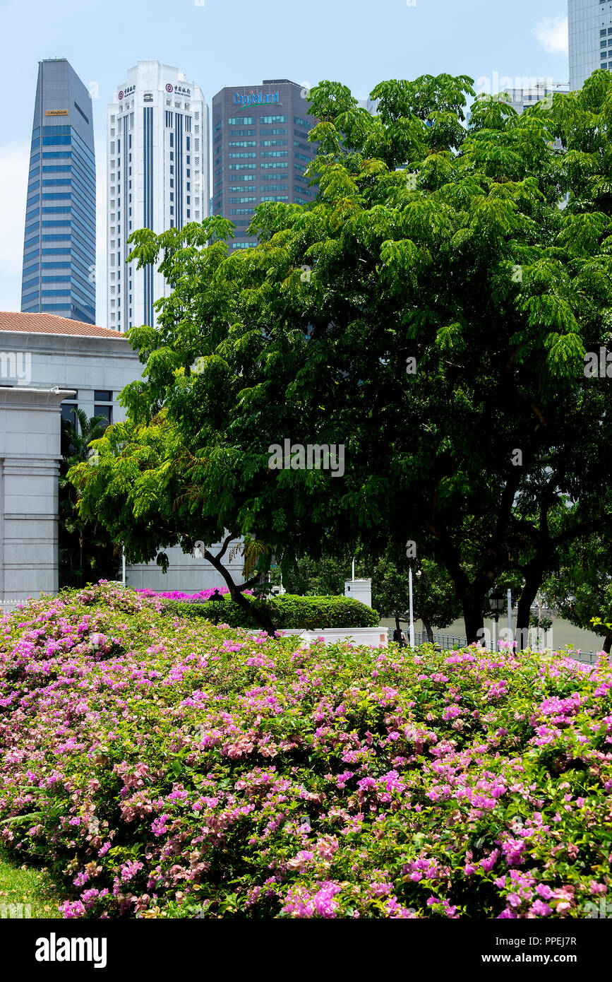 Teil der Wolkenkratzer des Singapore Financial District am Parliament House und Singapore River Republic of Singapore Asia Stockfoto