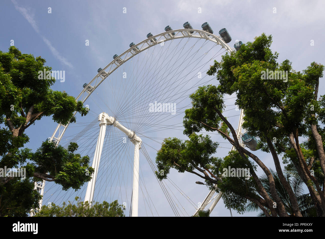 Der Singapore Flyer Riese Big Wheel touristische Attraktion von Marina Bay in der Innenstadt von Singapur Republik Singapur Asien Stockfoto