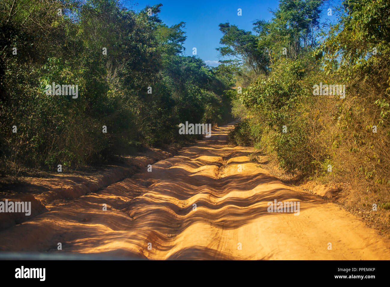 Der Weg zu den Tsingy de Bemaraha Stockfoto