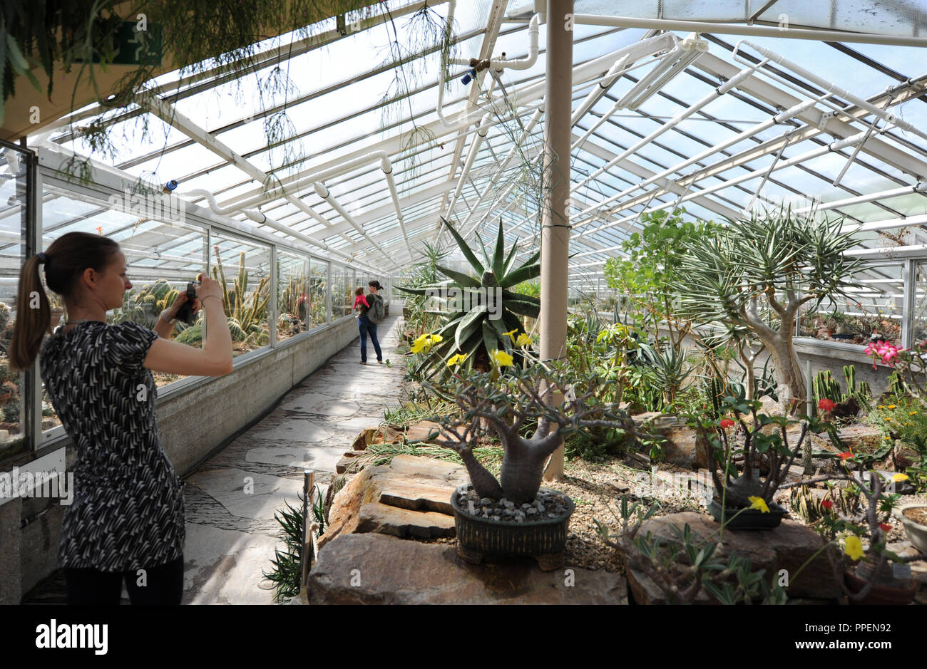 Kaktus Haus Botanischer Garten Mnchen Stockfotografie - Alamy