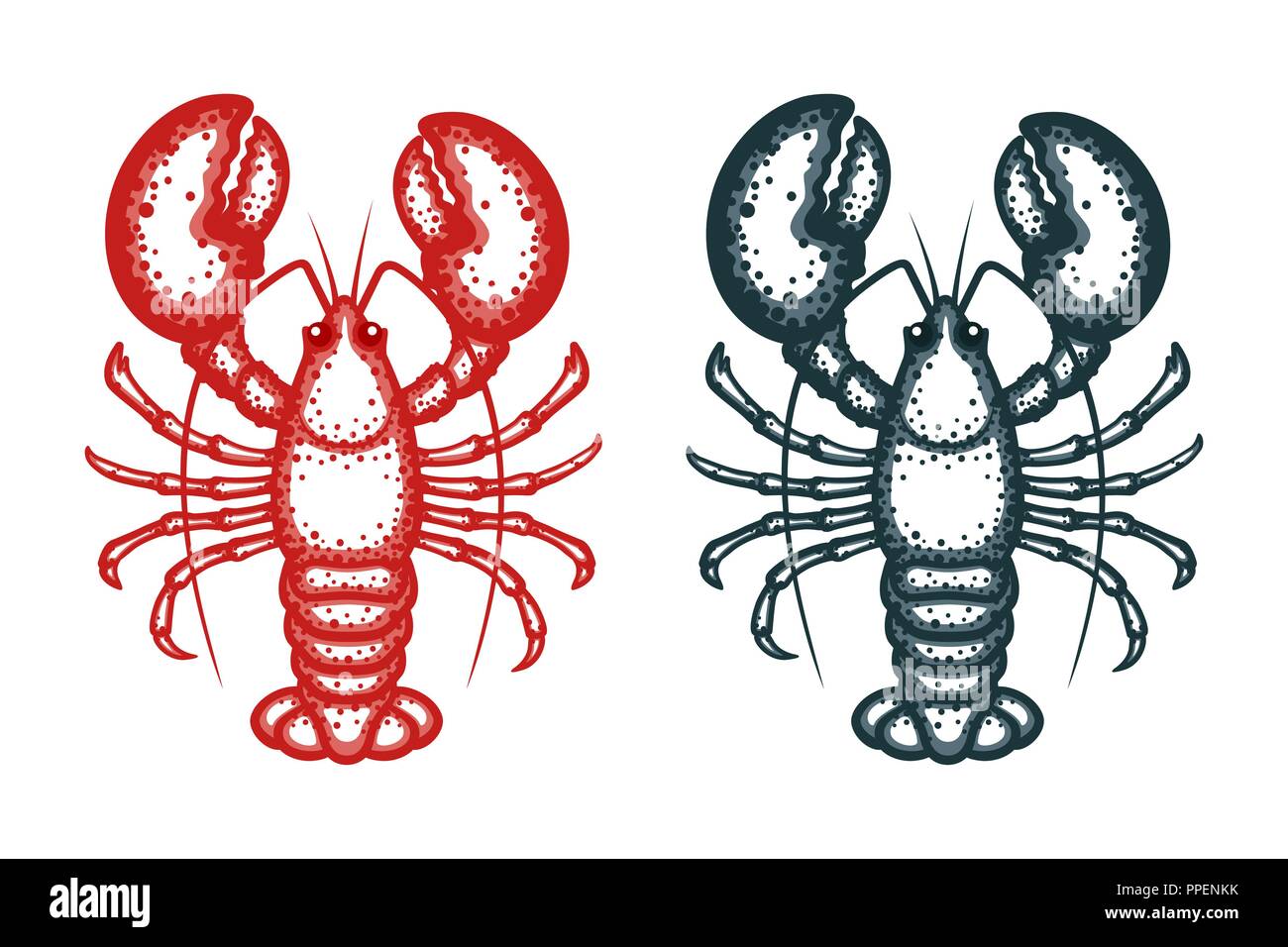 Hummer Vector Illustration. Crayfish isoliert auf weißem Hintergrund. Vektor Meeresfrüchte Abbildung Stock Vektor