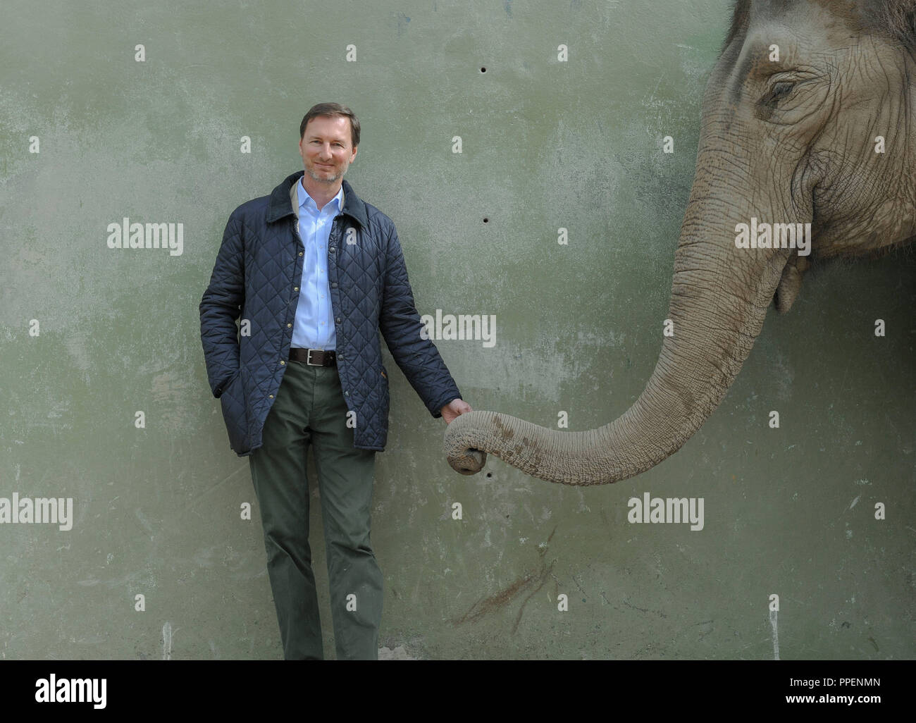 Zoo Direktor Andreas Knieriem mit elefantenkuh Panang im Münchner Tierpark Hellabrunn. Stockfoto