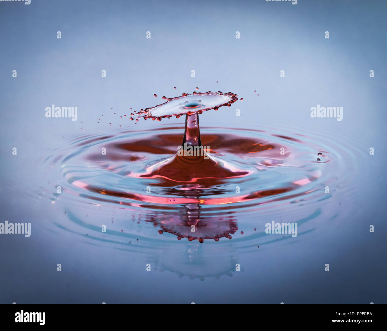 Blaue und rote Tropfen Wasser auf der Oberfläche Stockfoto