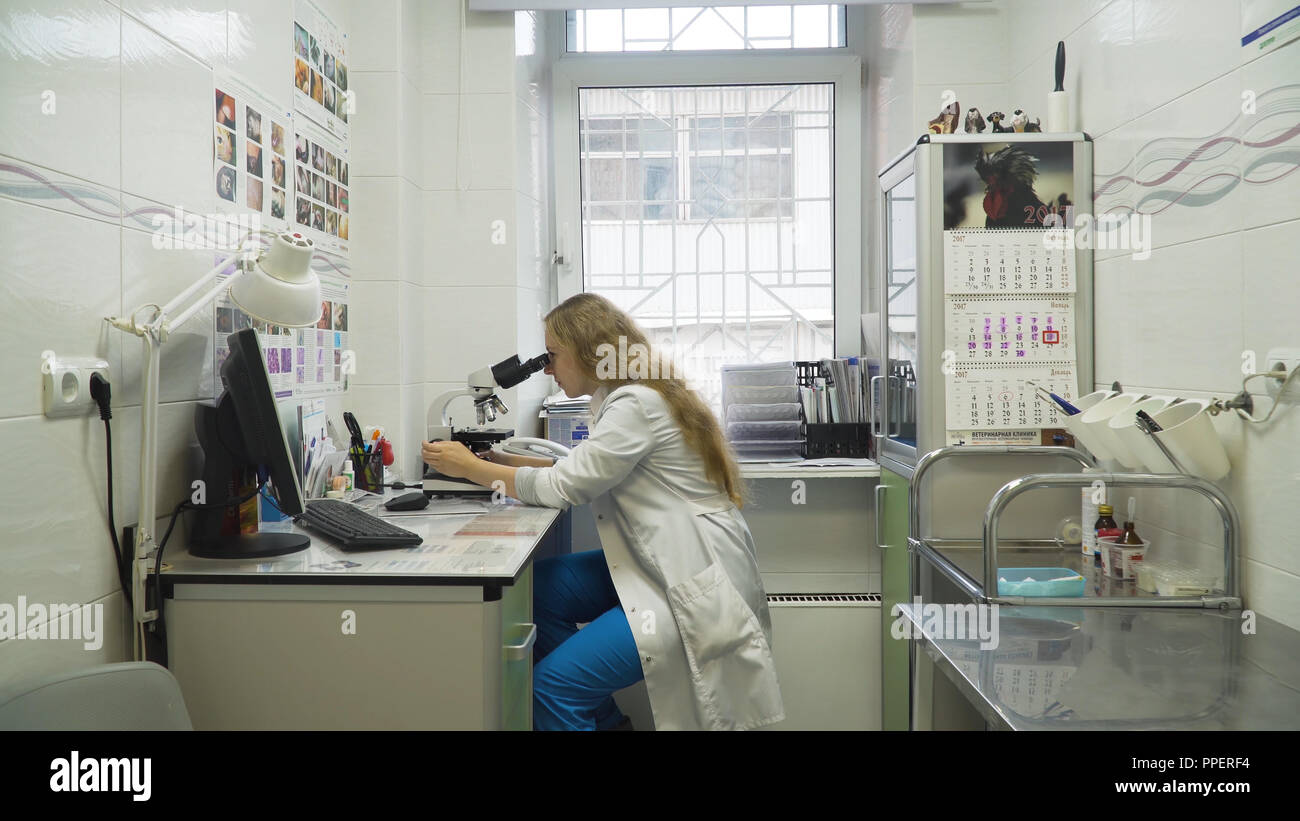 Arzt Frau Arbeiten mit dem Mikroskop im Labor. Wissenschaftlerin durch ein Mikroskop im Labor. Wissenschaftler mit einem Mikroskop im Labor. Stockfoto
