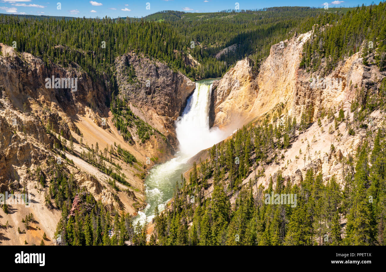Lower Falls der Yellowstone Canyon im Yellowstone Nationalpark, Wyoming Stockfoto