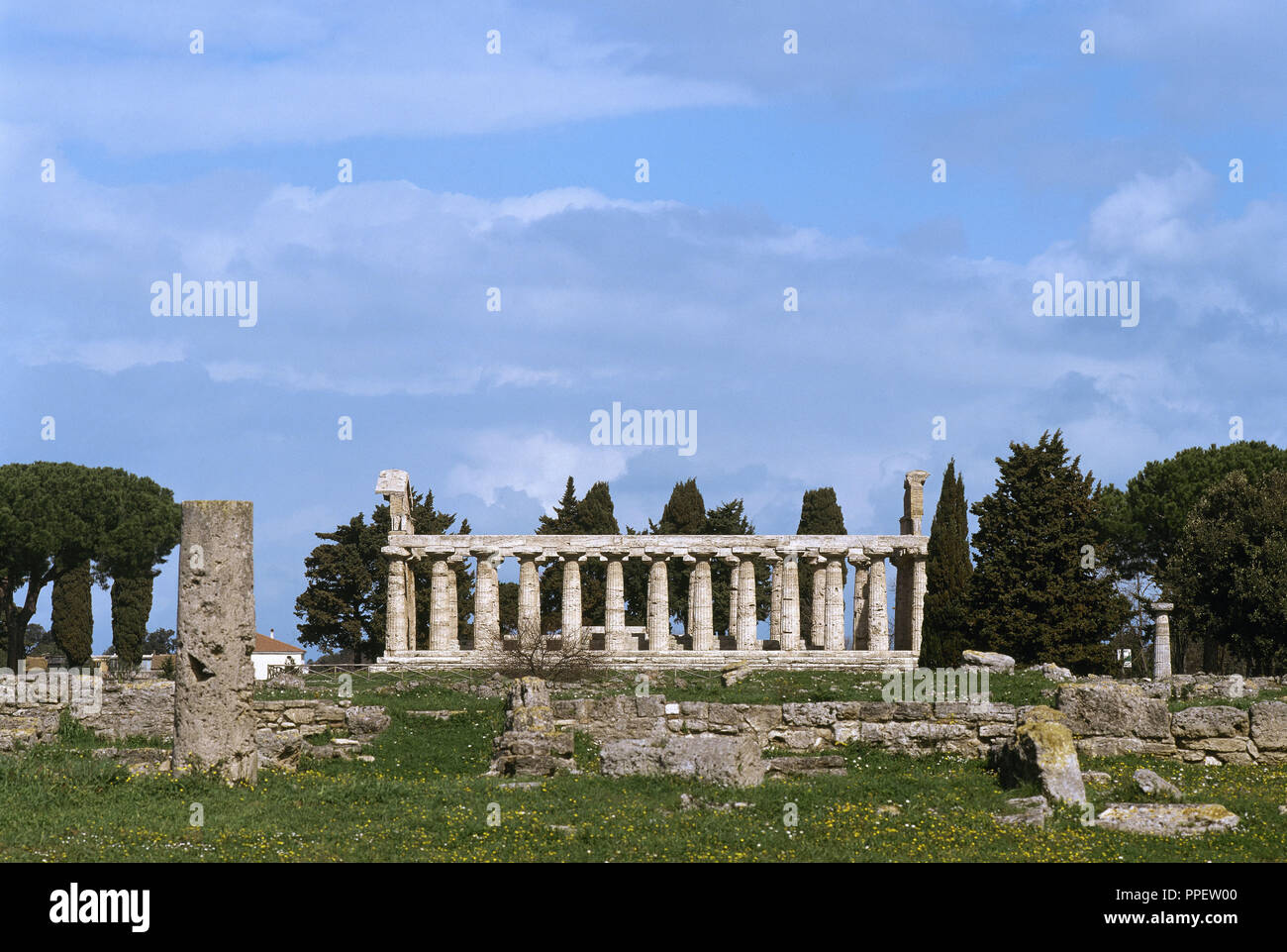 Paestum. Tempel der Athene. 6. Jahrhundert vor Christus. Stockfoto