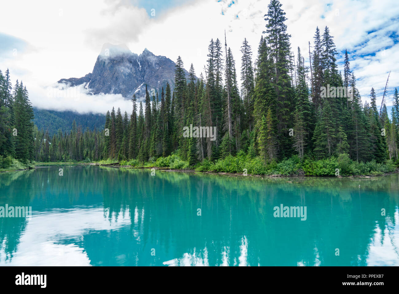 Emerald Lake, Yoho National Park, British Columbia, Kanada Stockfoto