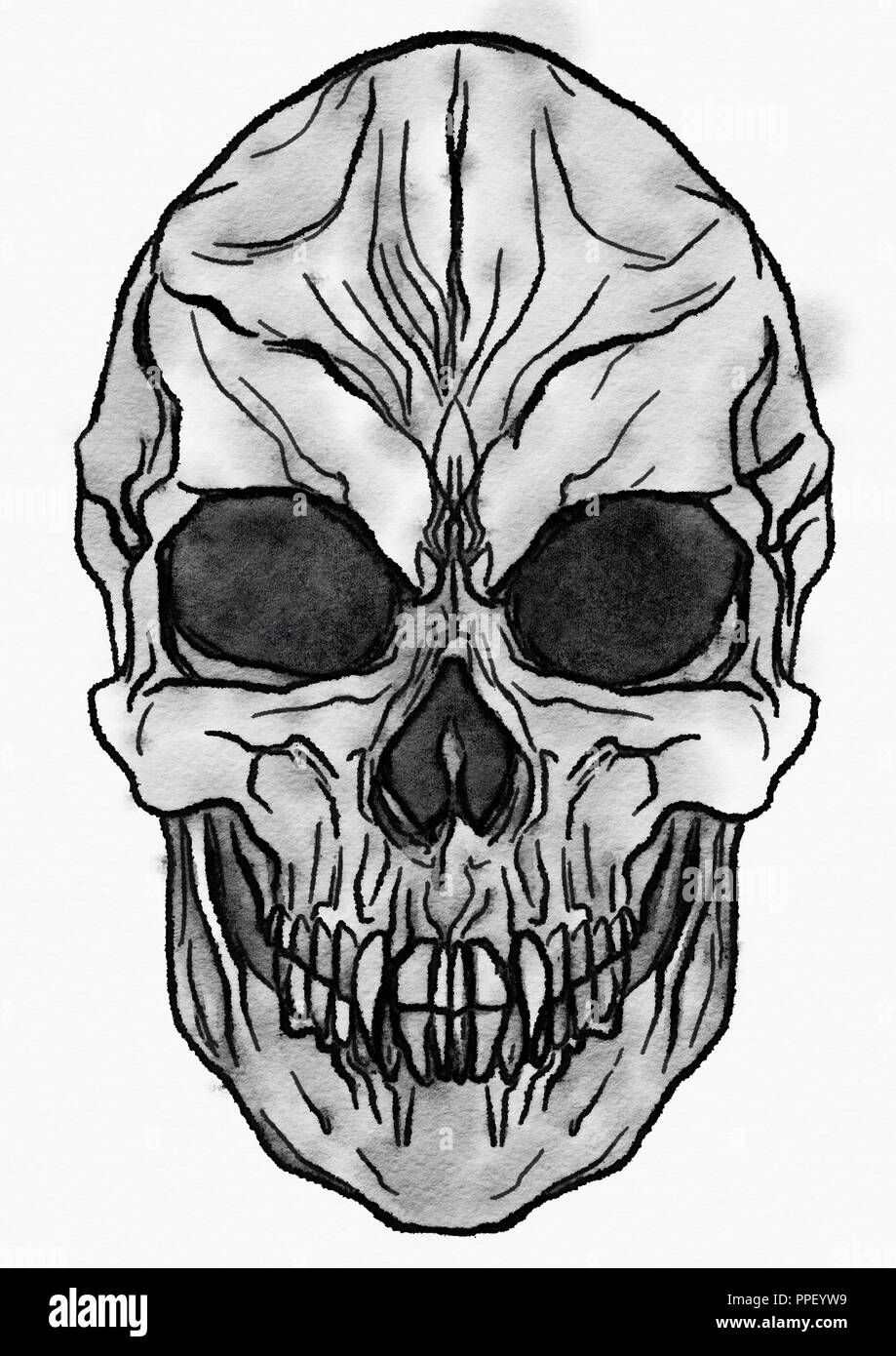Vampire skull Illustration Stockfoto