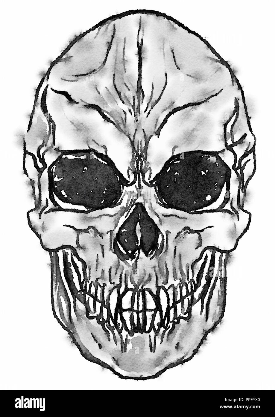 Vampire skull Illustration Stockfoto