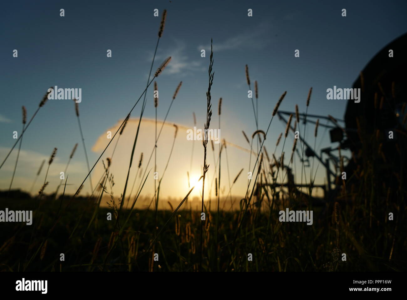 Lang Anhaltende Durre In Deutschland Aufgrund Von Regen In Der Landwirtschaft Eine Kunstliche Bewasserung Stockfotografie Alamy