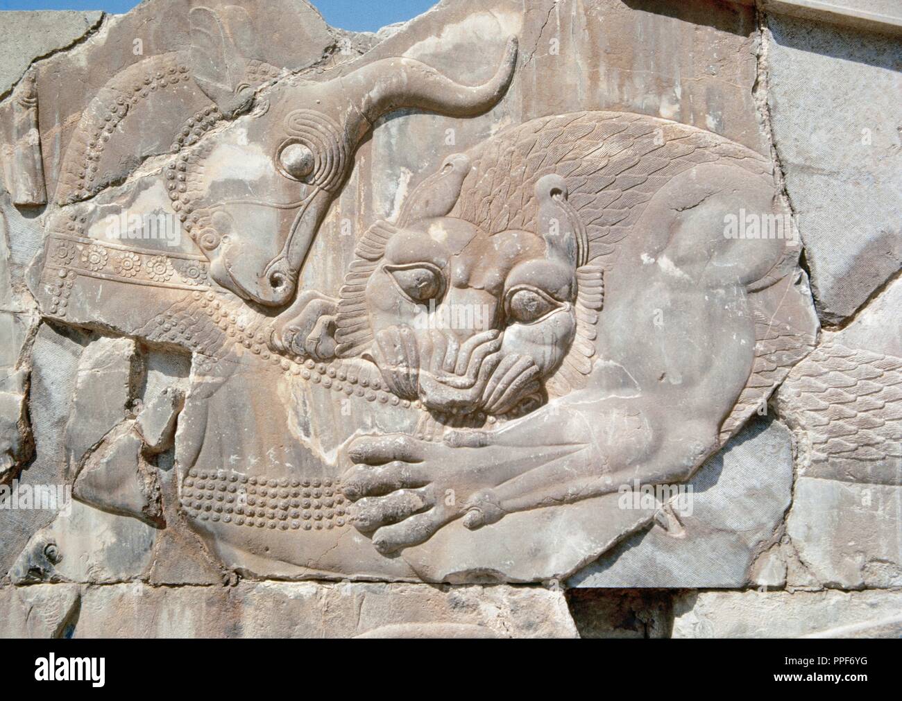 Darius the great lion Fotos und Bildmaterial in hoher Auflösung Alamy