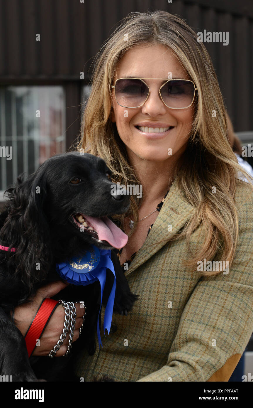 Bromsberrow Heide Spaß Dog Show. 15. September 2018. Herefordshire. Elizabeth Hurley & Ihr spaniel Mia in einem Dorf Dog Show. Stockfoto