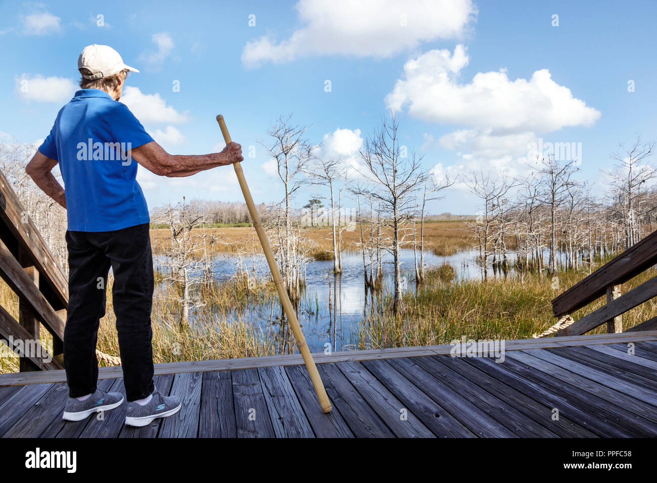 West Palm Beach Florida, grasbewachsene Gewässer Naturschutzgebiet Feuchtgebiete Ökosystem, Wasser, erhöhte Promenade Naturlehrpfad, Senioren Bürger, Frau FEM Stockfoto