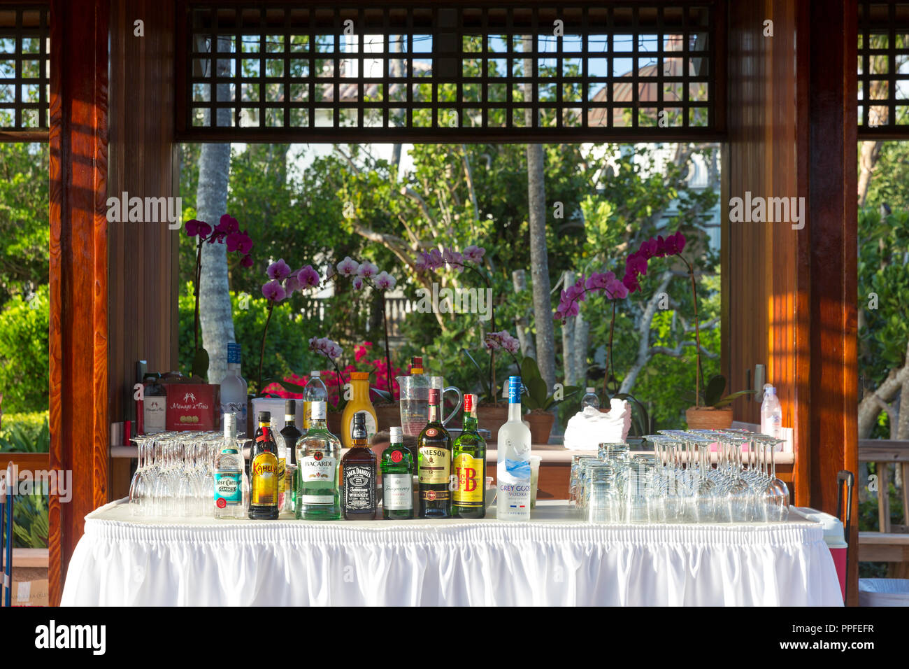 Alkoholische Getränke an outdoor Garden Party, Naples, Florida, USA Stockfoto