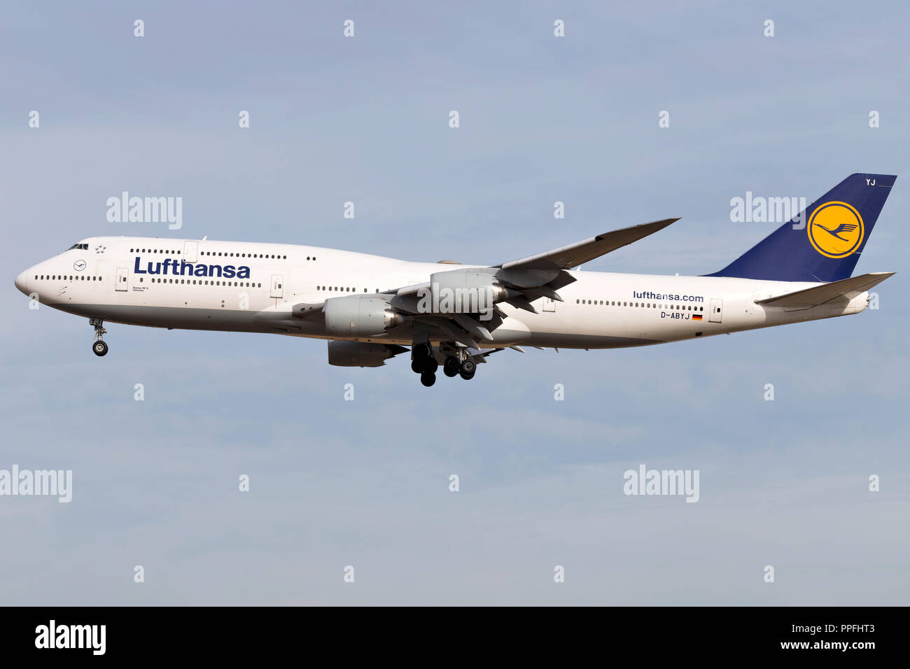 Deutsche Lufthansa Boeing 747-8 (alte Livery) Mit der Registrierung D-ABYJ auf kurze letzte für Start- und Landebahn 25L des Frankfurter Flughafens. Stockfoto