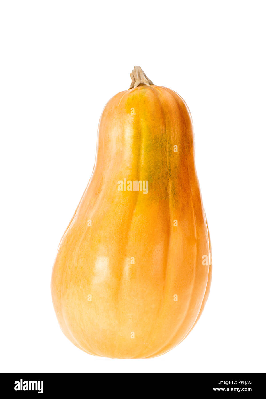 Nahaufnahme der eine gelbe herbstliche Kürbis isoliert auf weißem Stockfoto