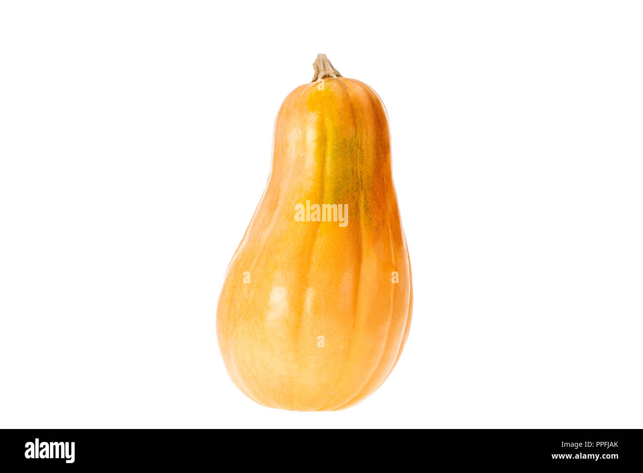 Eine gelbe Reif herbstliche Kürbis isoliert auf weißem Stockfoto